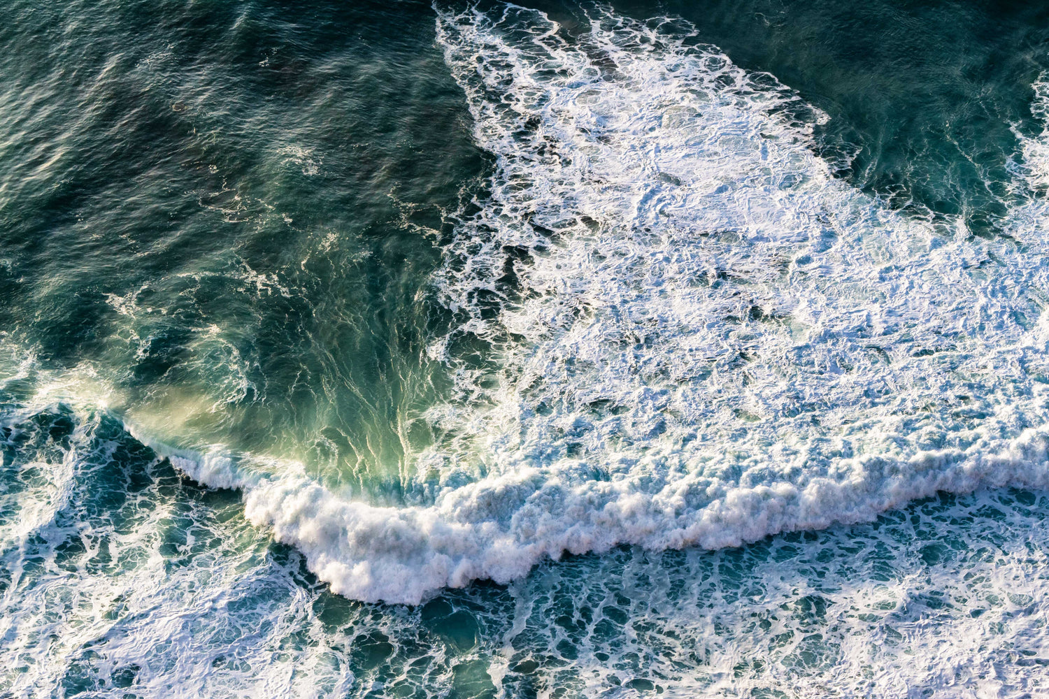 Fotografia de Natureza