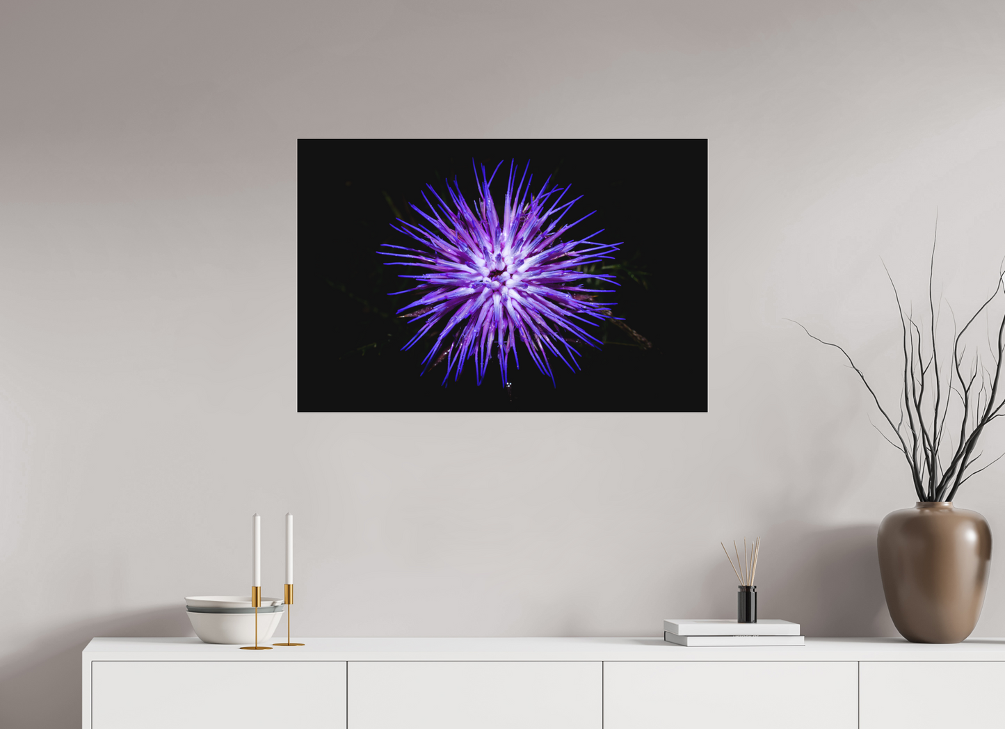 Cirsium