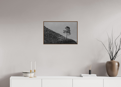 60 x 40 cm, Impressão em Alumínio escovado - moldura walnut A Protagonista