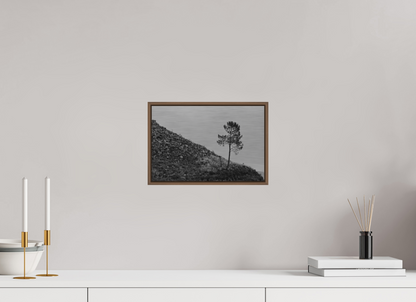 30 x 20 cm, Impressão em Alumínio escovado - moldura walnut A Protagonista