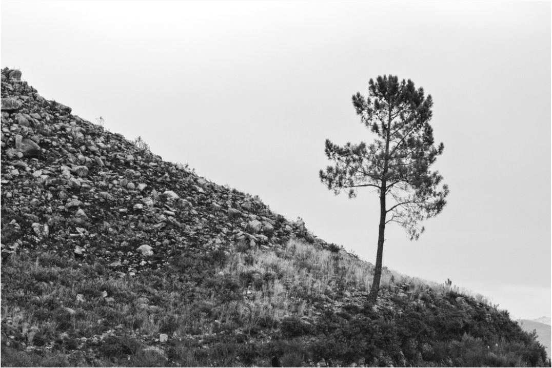 Main image A Protagonista