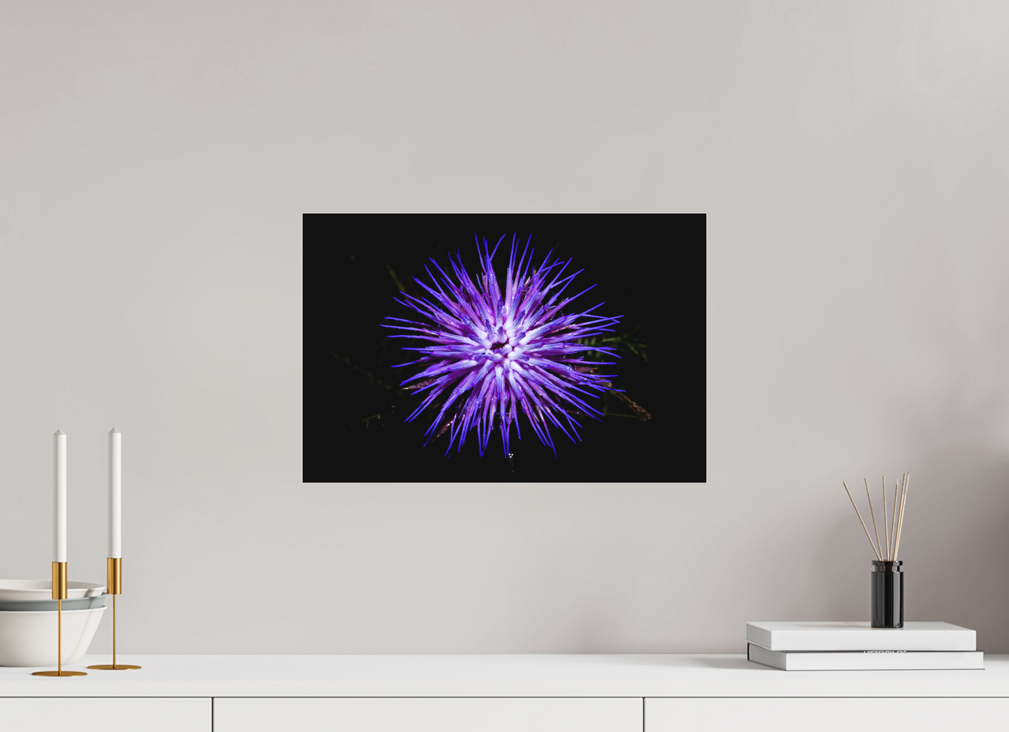 45 x 30 cm, Fine art em Metacrilato - sem moldura Cirsium