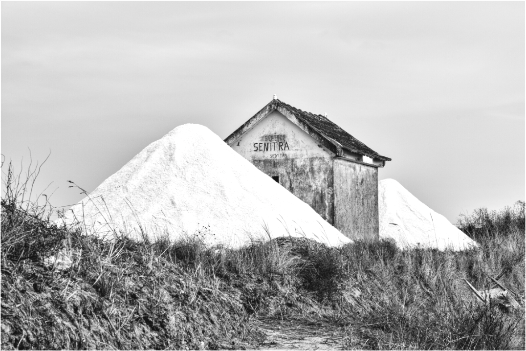 Main image Salinas de Aveiro