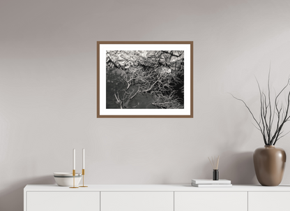 60 x 45 cm, Hahnemuhle Fine Art - moldura Walnut Silêncio