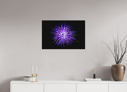 75 x 50 cm, Fine art em Metacrilato - sem moldura Cirsium