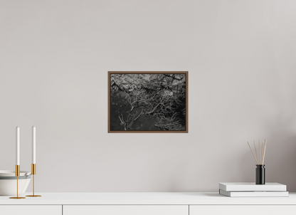 28 x 21 cm, Impressão em Alumínio escovado - moldura walnut Silêncio