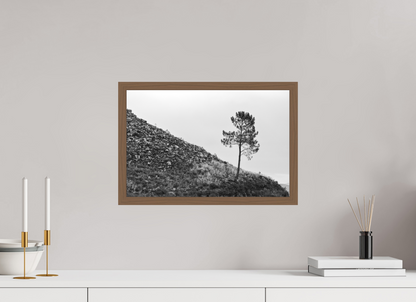 45 x 30 cm, Ilford P&B em Metacrilato - moldura Walnut A Protagonista