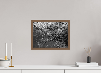 40 x 30 cm, Ilford P&B em Metacrilato - moldura Walnut Silêncio