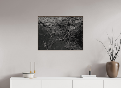 80 x 60 cm, Impressão em Alumínio escovado - moldura walnut Silêncio