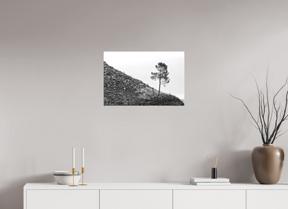 60 x 40 cm, Canva - sem moldura A Protagonista