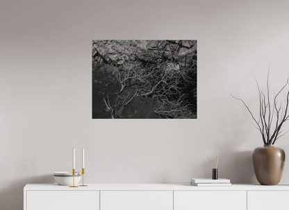 80 x 60 cm, Impressão em Alumínio escovado - sem moldura Silêncio