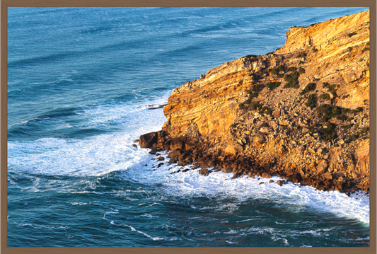 Main image A rocha