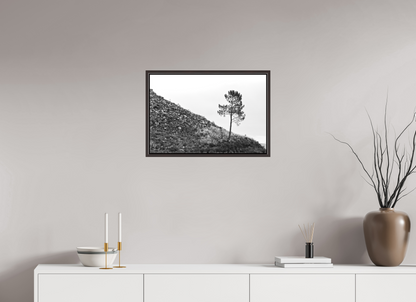 60 x 40 cm, Canva - moldura castanha escura A Protagonista