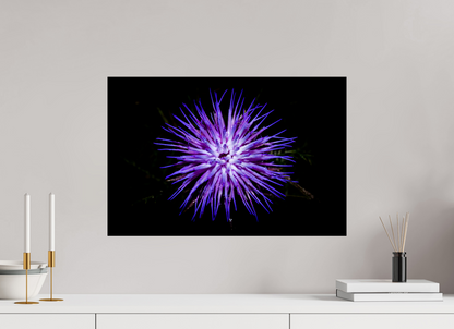 Cirsium