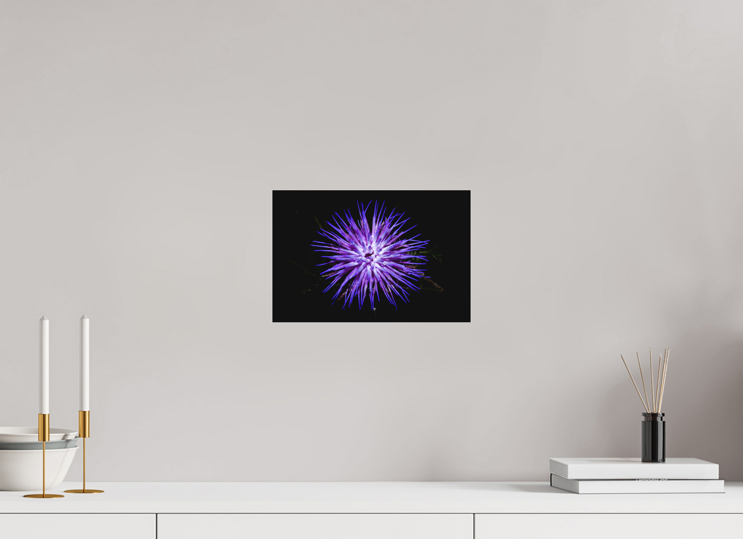 Cirsium