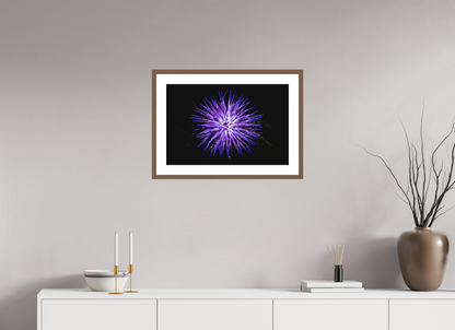 Cirsium