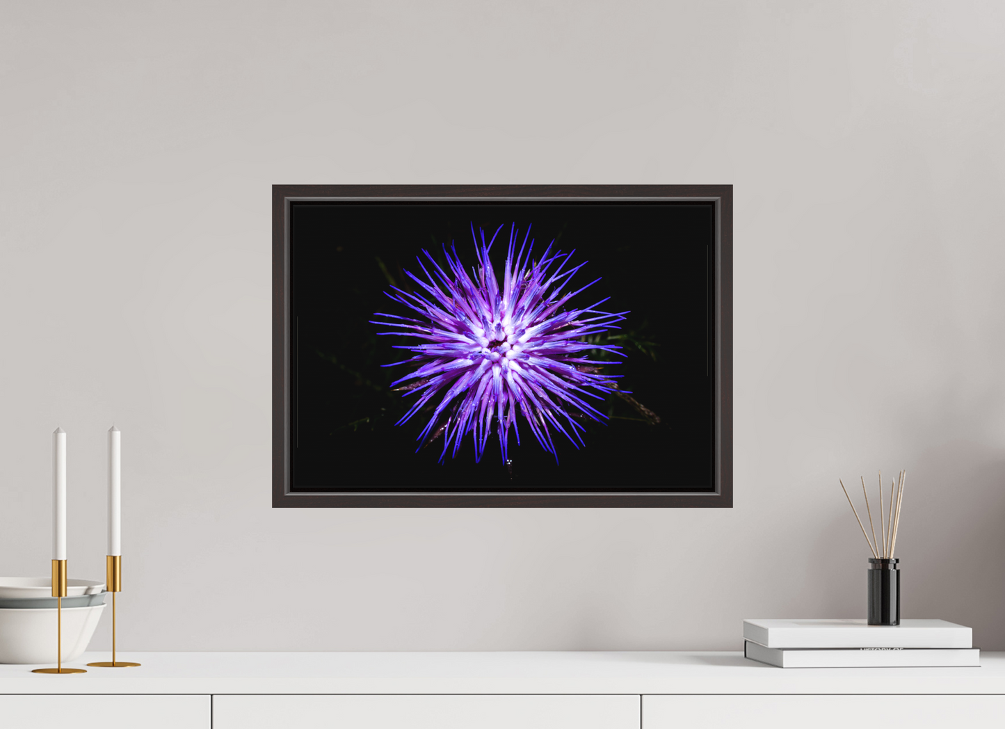 Cirsium