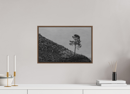 45 x 30 cm, Impressão em Alumínio escovado - moldura walnut A Protagonista