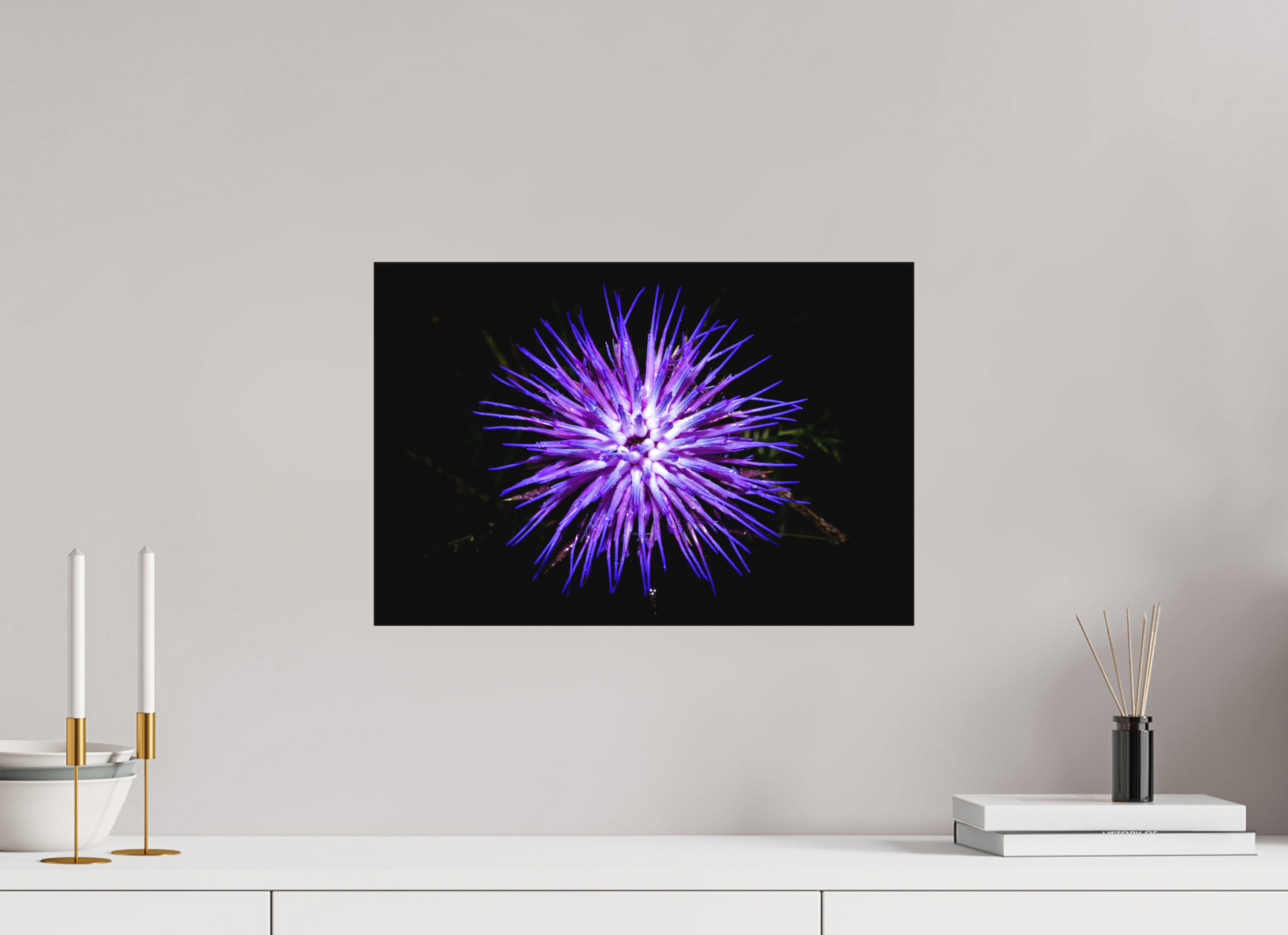 45 x 30 cm, Canva - sem moldura Cirsium