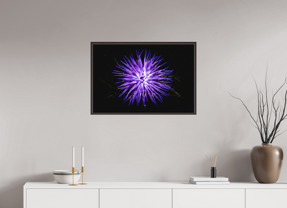 75 x 50 cm, Canva - moldura castanha escura Cirsium