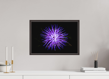 45 x 30 cm, Canva - moldura castanha escura Cirsium